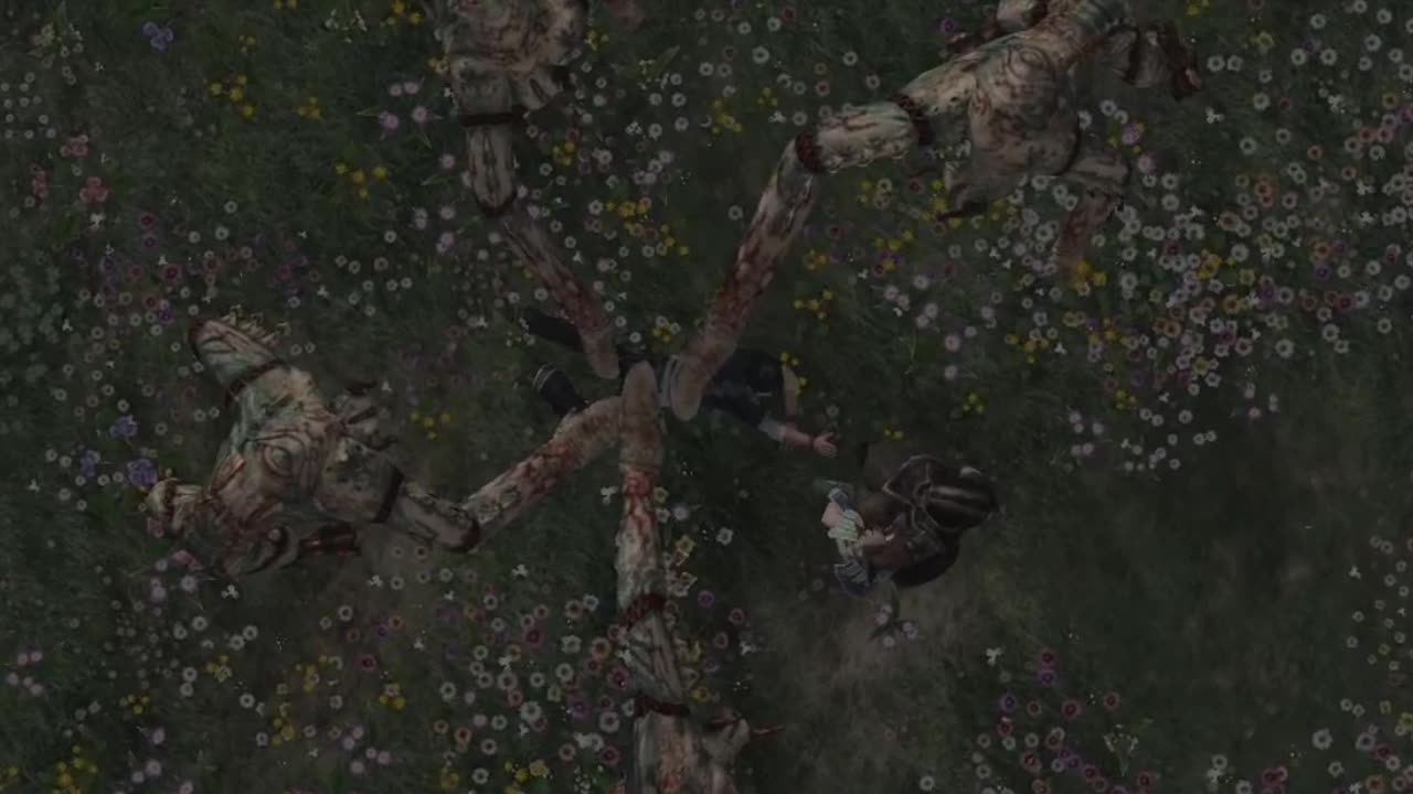 The Last Remnant - The coldest line