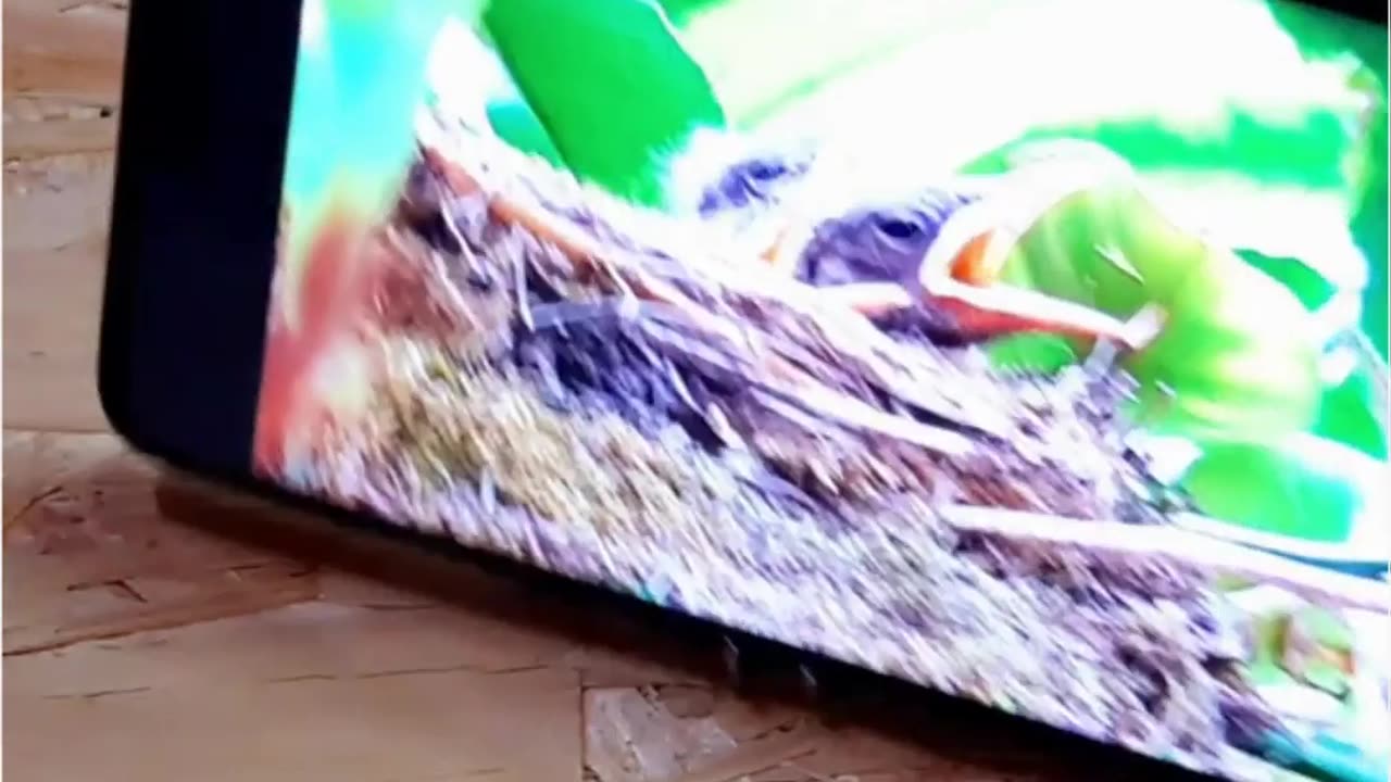 Tool Tips 3 🔥🔥