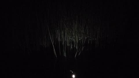 Moon reflecting off of the water
