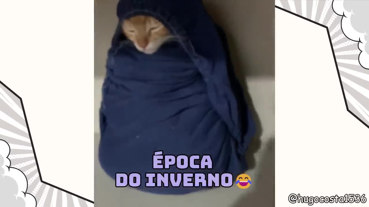 Funny 04