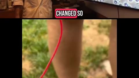 The Effects of Grounding on the Bloodstream