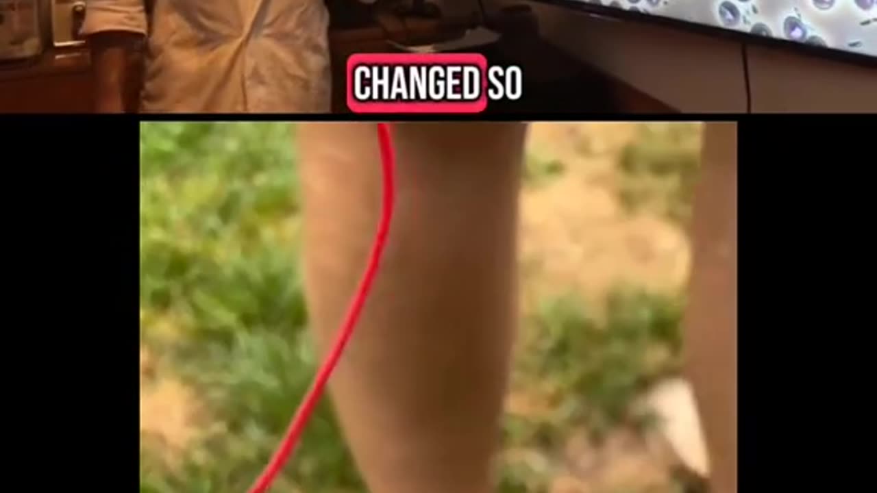 The Effects of Grounding on the Bloodstream