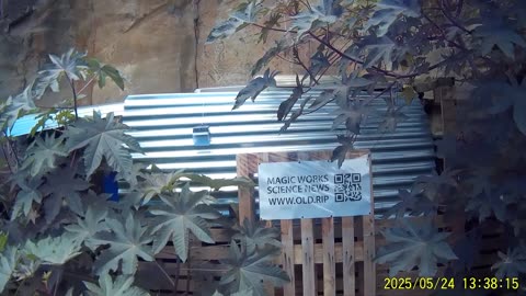 250524A___Madeira_NS-404._Better_cave_entrance_roof._Energy_tech_ads_suddenly_rejected.(1080p)