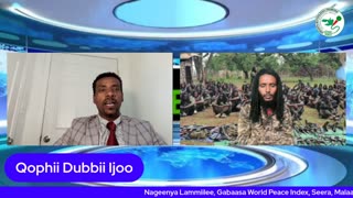 Qophii Dubbii Ijoo ONM-ABO Hagayya 26-2025 itti dhiyaadhaa!