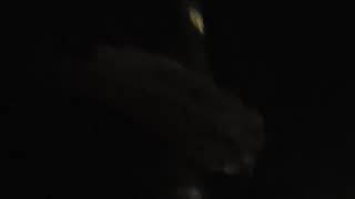 Evicted & Vacated… But They LEFT THIS!? 😳🚨 I’ve Seen A LOT… But Not This.