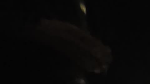 Evicted & Vacated… But They LEFT THIS!? 😳🚨 I’ve Seen A LOT… But Not This.