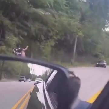 Catturd ™ - Play stupid games, win stupid prizes.