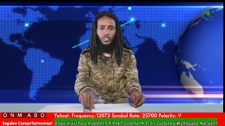 Oduu Waaree ONM-ABO Hagayya 13-2025 itti dhiyaadhaa!