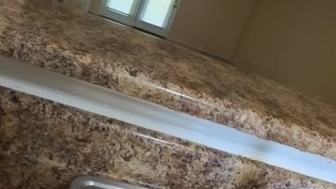 🏠 He left early, lost his deposit 💵… and claimed there’s mold 🔍. Let’s see what I find 👀