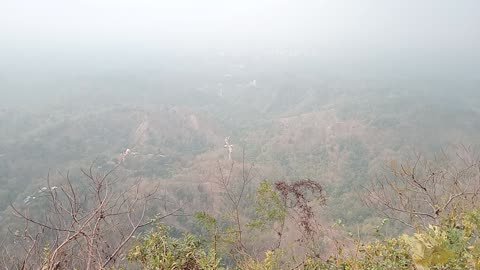 Nice view