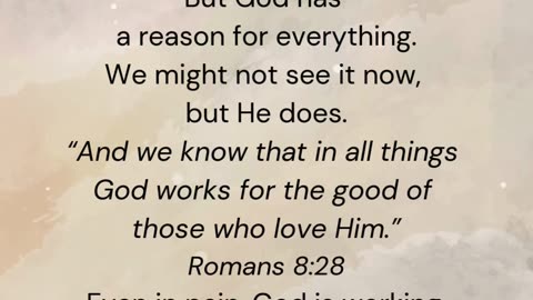 Trust His Will