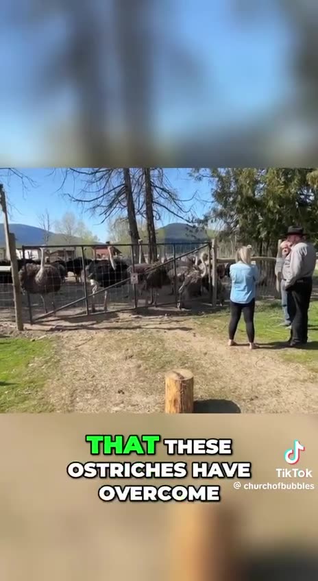 Every life is matter