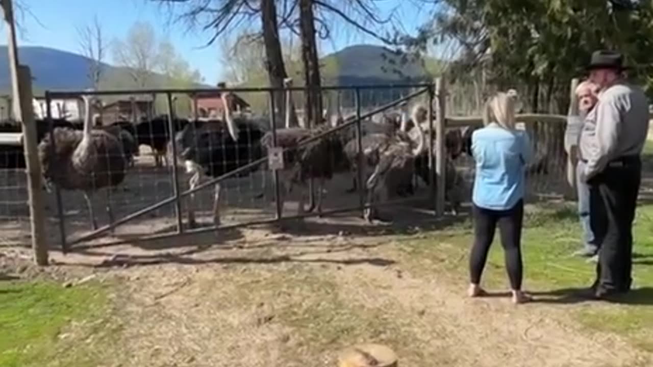 Every life is matter
