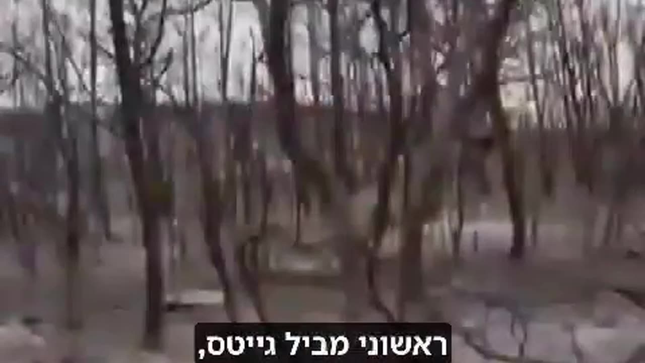 זאת כבר לא סאטירה ביל גייטס רוצה להציל את כדור הארץ על ידי כריתת עצים וקבירתם באדמה