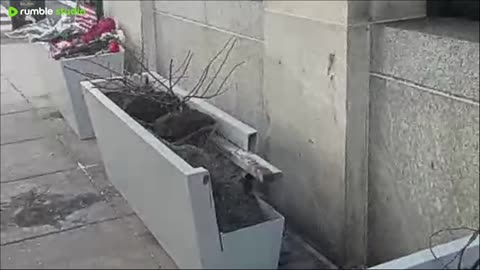 shooting 🌠 at mourning