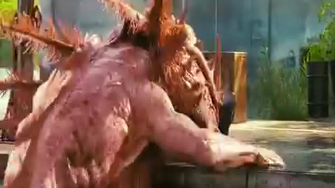 Big Monster Movie Scene of the Day Part 8 | Epic Kaiju & Action Moments