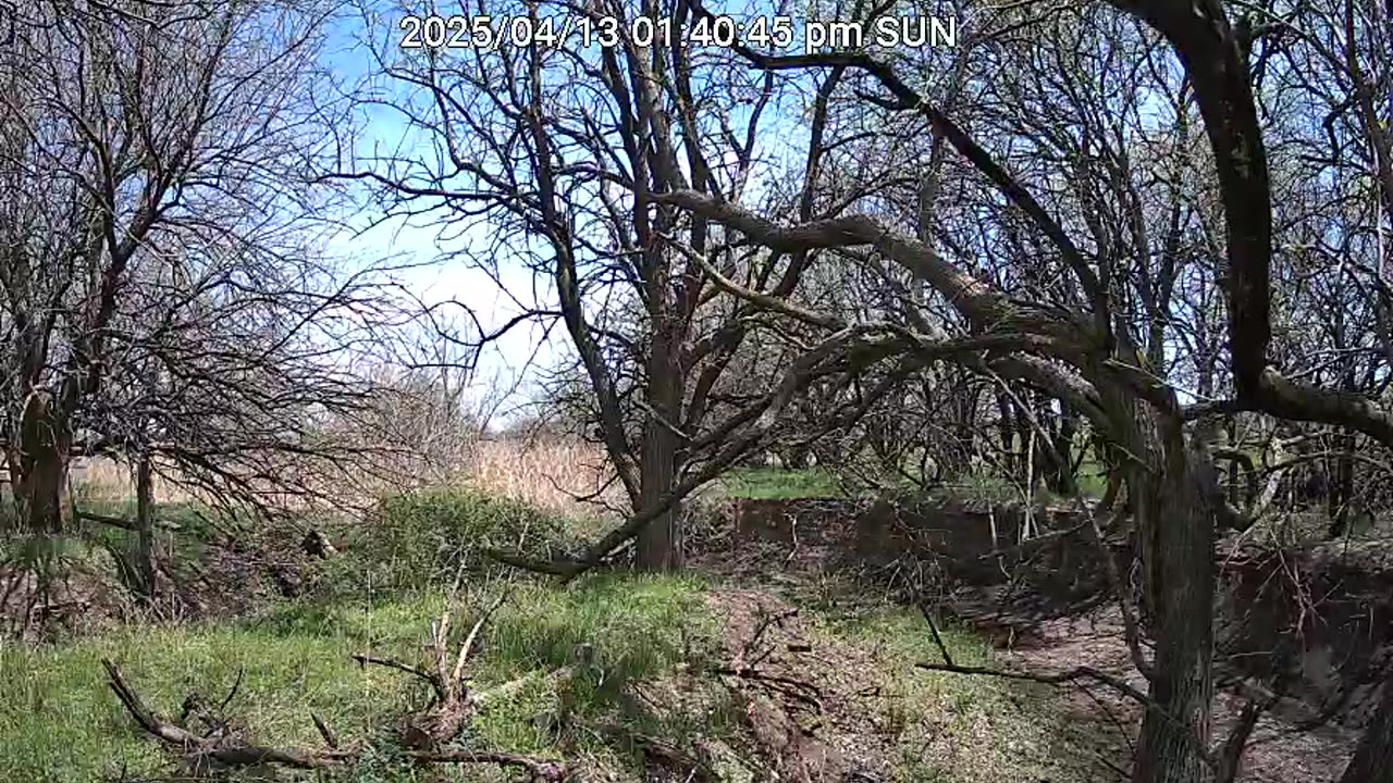 creek bottom