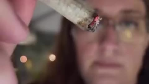 OG Cannabis Cafe
