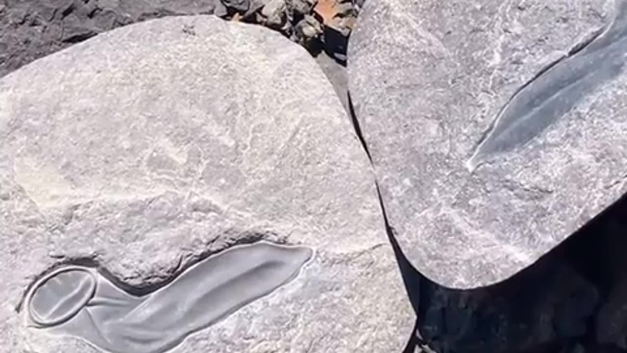 😂😏 Du-rex is BACK and Funnier than Ever! | FunFM