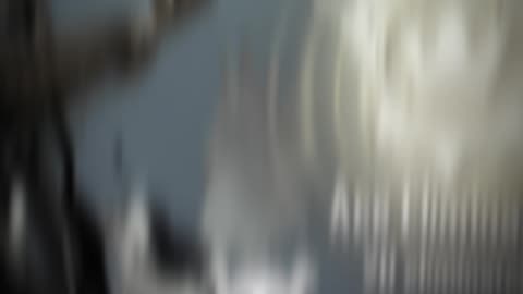 #closecombat #noxelomniagaming