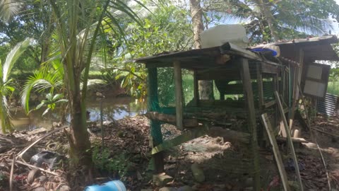 My favorite time of year in Costa Rica #tamales #costarica