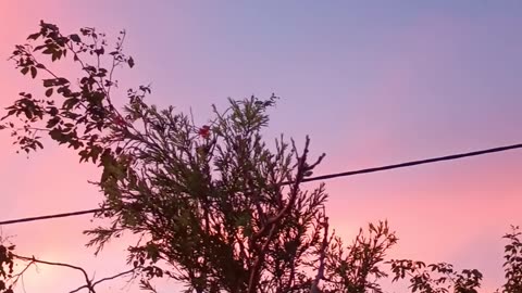 9.5.2025 Townsville Sky