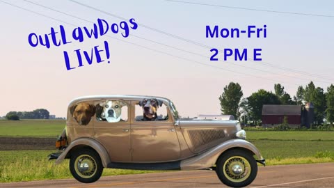 OutLawDogs LIVE! Ep.31-Trump's 100 Days Week Wrap Up & DamePam GoFundMe Update!