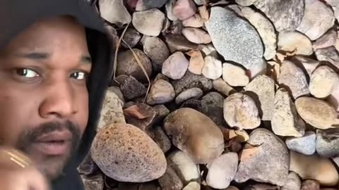 True Story - What The Hell Is That Noise