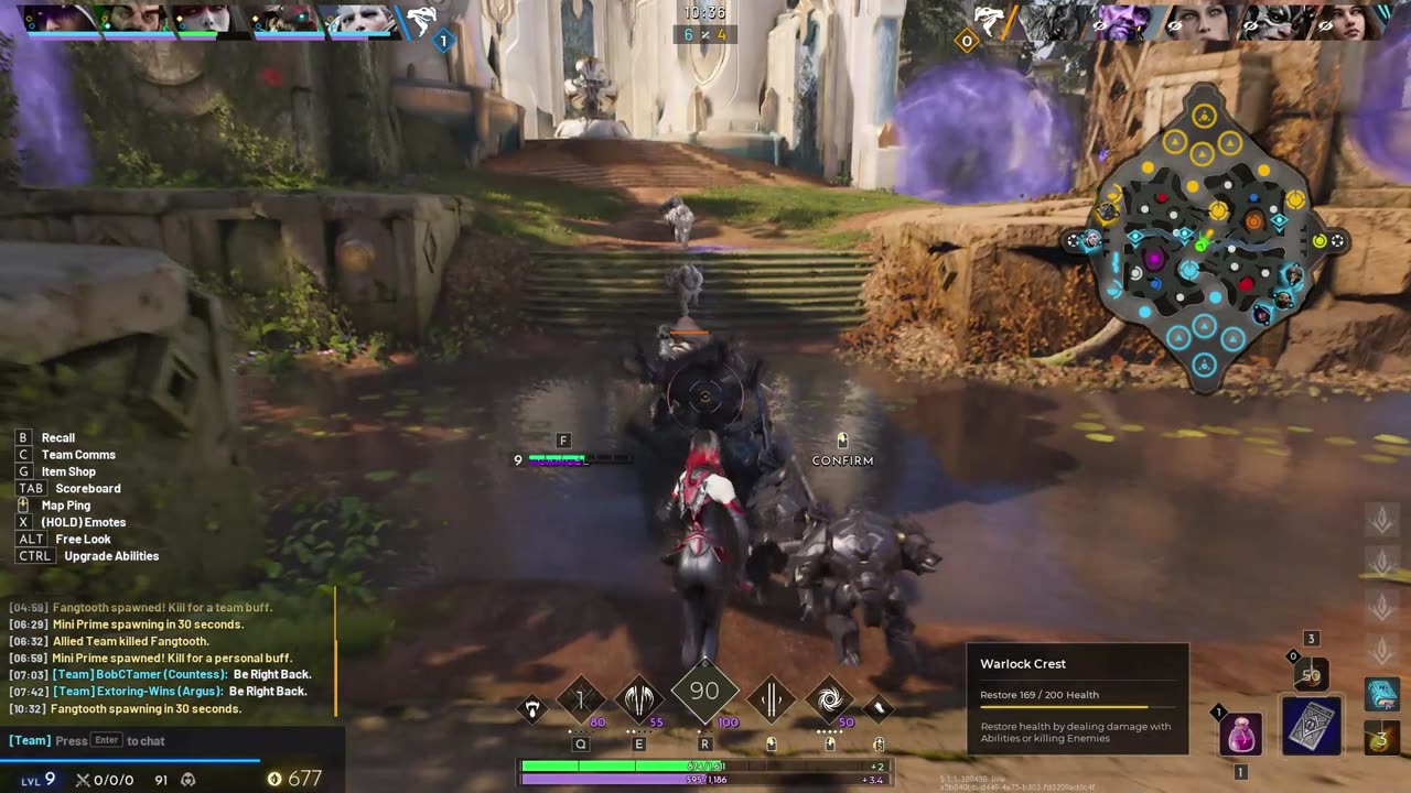 Predecessor - Midlane Countess vs Belica