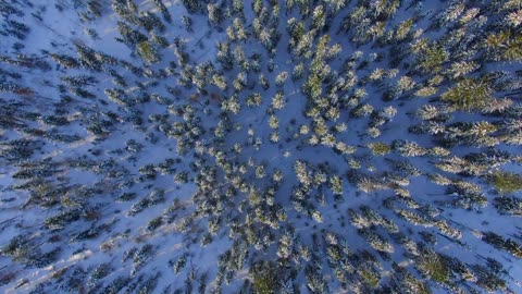 "The power of imagination makes us infinite."