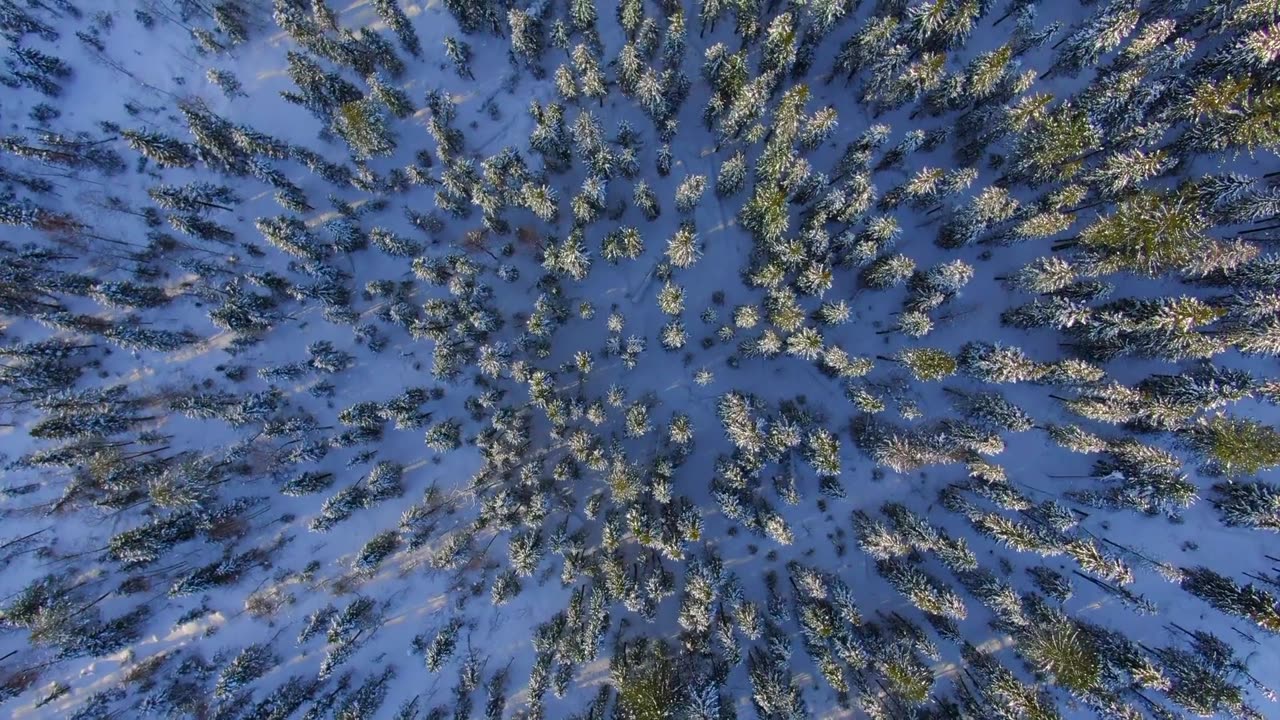 "The power of imagination makes us infinite."