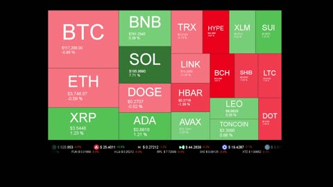 Live Coin Price Watch!
