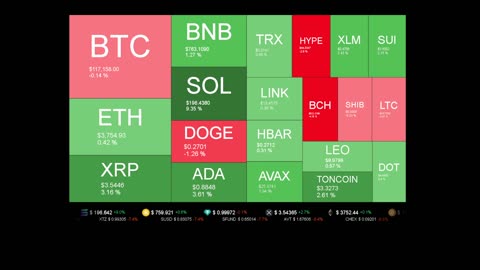 Live Coin Price Watch!