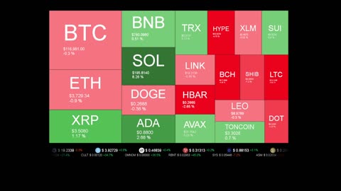 Live Coin Price Watch!