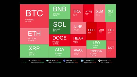 Live Coin Price Watch!