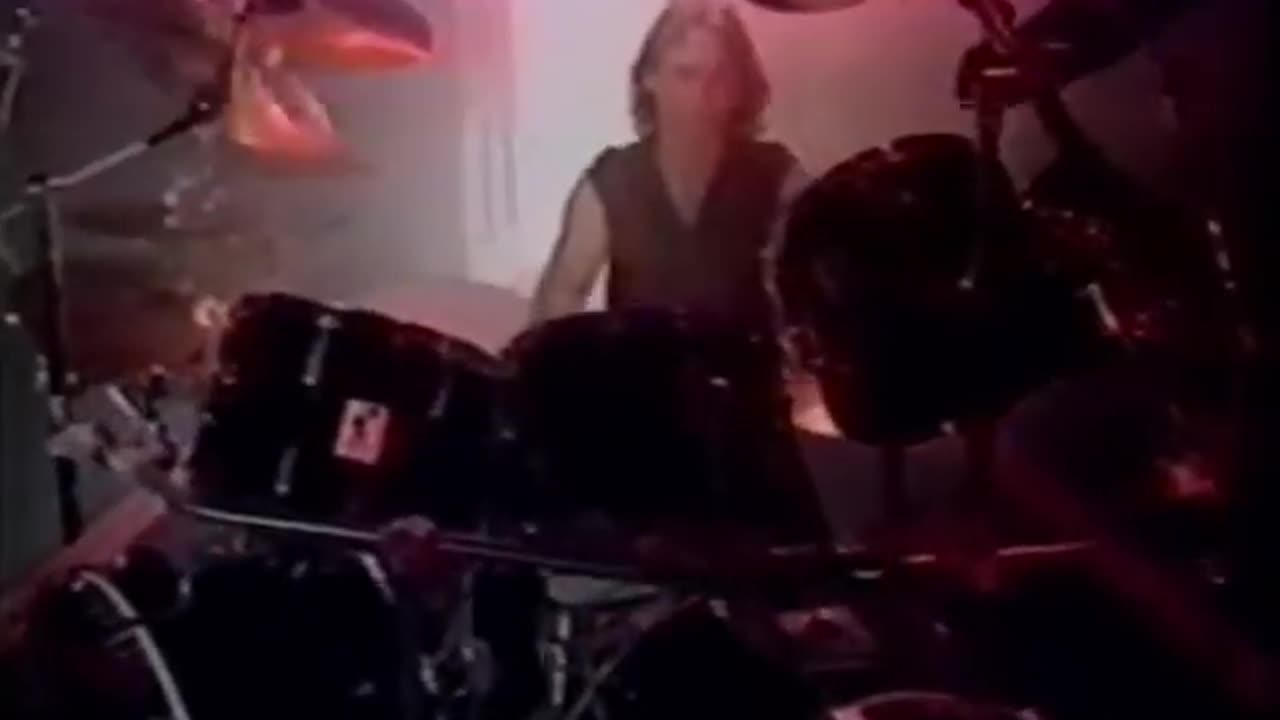 Zebra - Tell Me What You Want