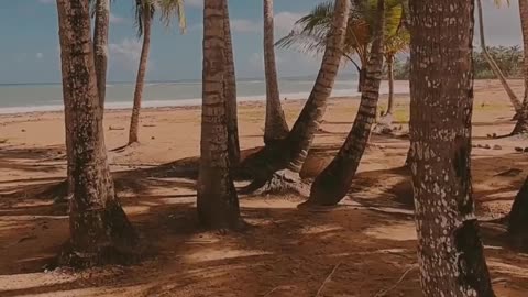 “You Deserve Love Too — Stop Carrying Everything Alone”