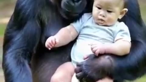 bab feeding