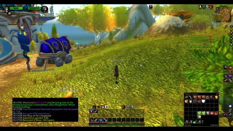 Turtle wow - Melee HC Slow and Steady Hunter - Part 6 - No commentary