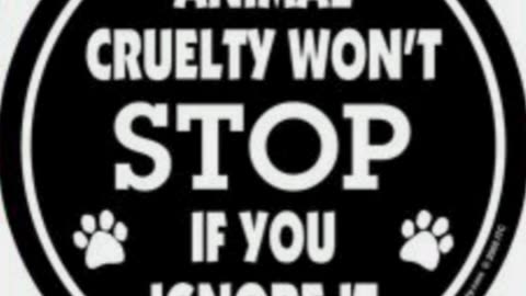 🔺We CANNOT ignore animal cruelty !!