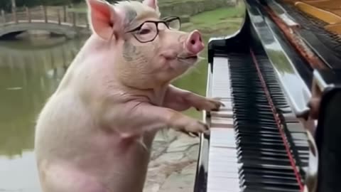 #ai #pig #cello #sad #piano #fyp
