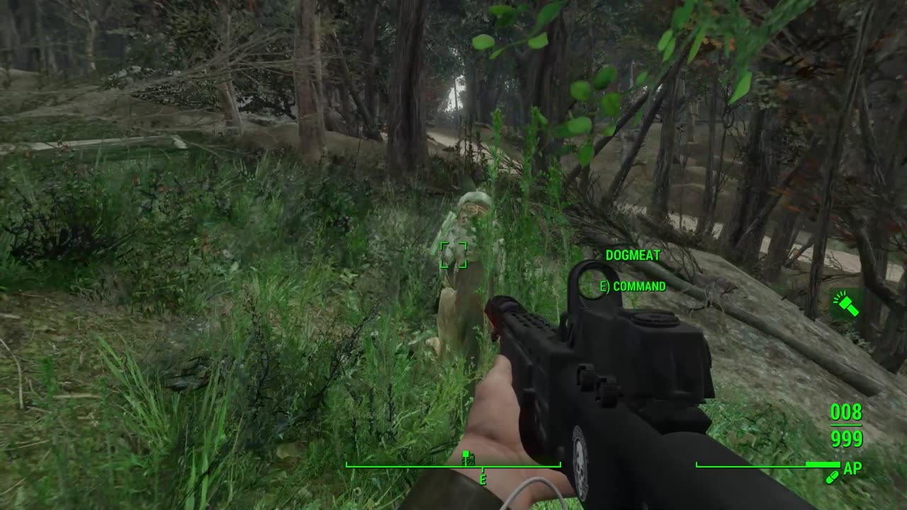 Fallout 4 play through with mods new run