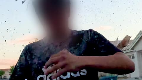 Bait Tesla Prank.