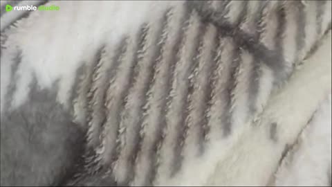 I used to play along