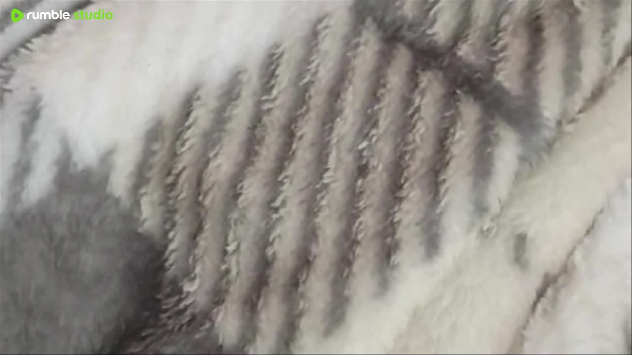 I used to play along