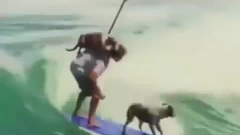 DOGGO STYLE