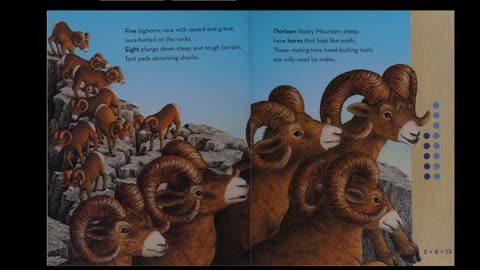 Wild Fibonacci - Nature's Secret Code Revealed