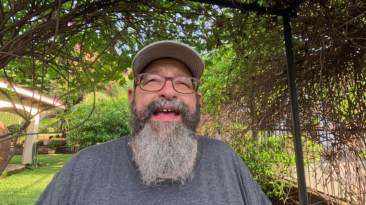 Safest Airport Arrival Time for Pets in Nicaragua? 🇳🇮