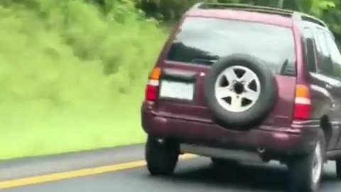 😱🚗 The Most Shocking Roadside Attempt! | FunFM