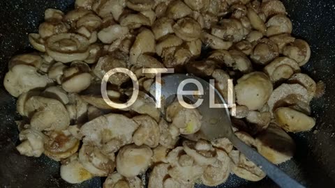ОТец ищет грибы 6 мая. Рядовка майская (Calocybe gambosa)